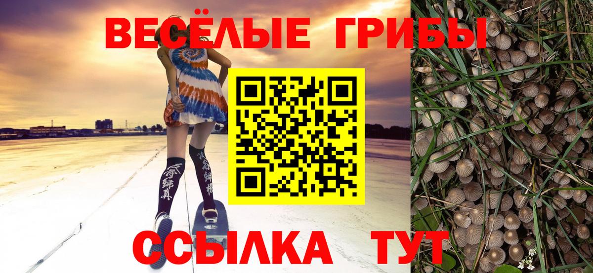 Галлюциногенные грибы MAGIC MUSHROOMS Тельмана